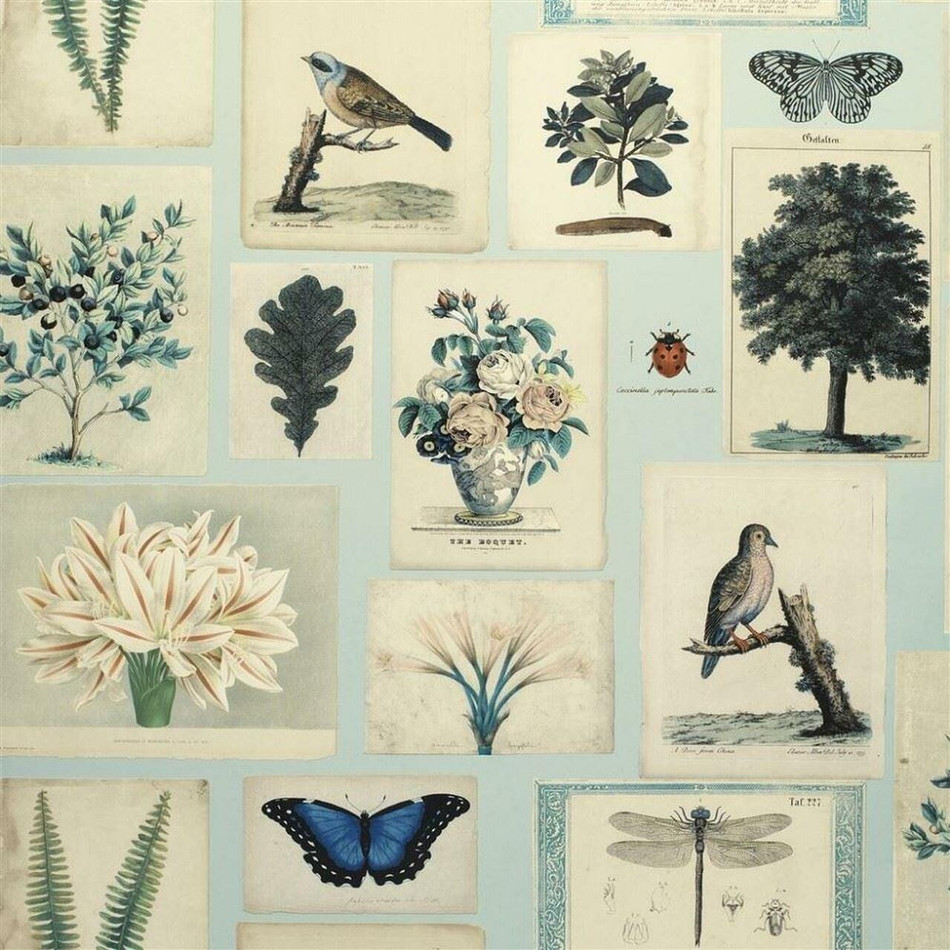 PJD6001/02 Flora & Fauna Cloud Blue Picture Book Paper Wallpaper by Designers Guild