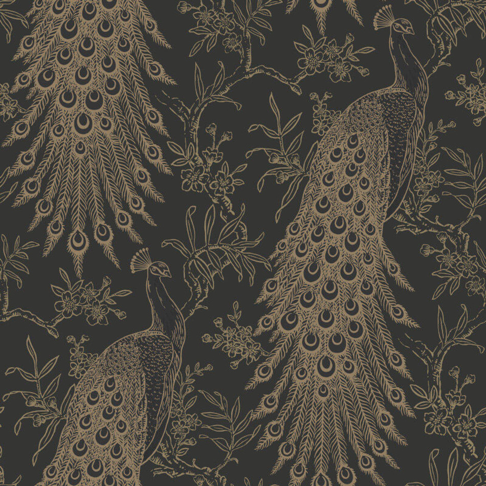 405811 Pandore Proud Peacock Black and Gold Wallpaper By Rasch