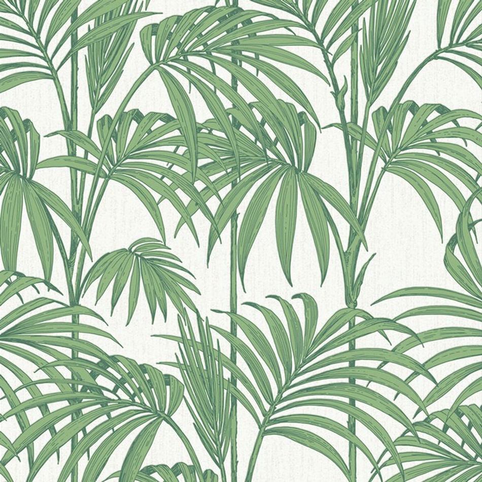32-969 Honolulu Palm Wallpaper by Graham & Brown