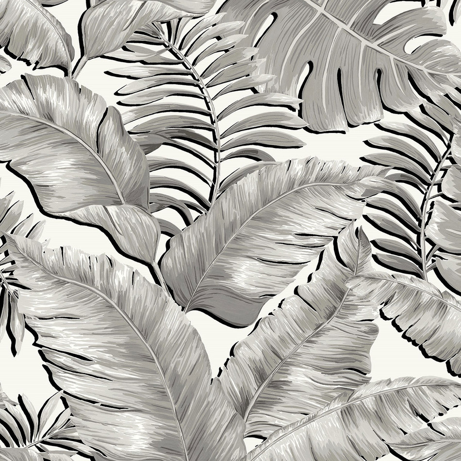 BMTD001/05A Banana Leaves Max Tropical Daze Wallpaper by Brand McKenzie