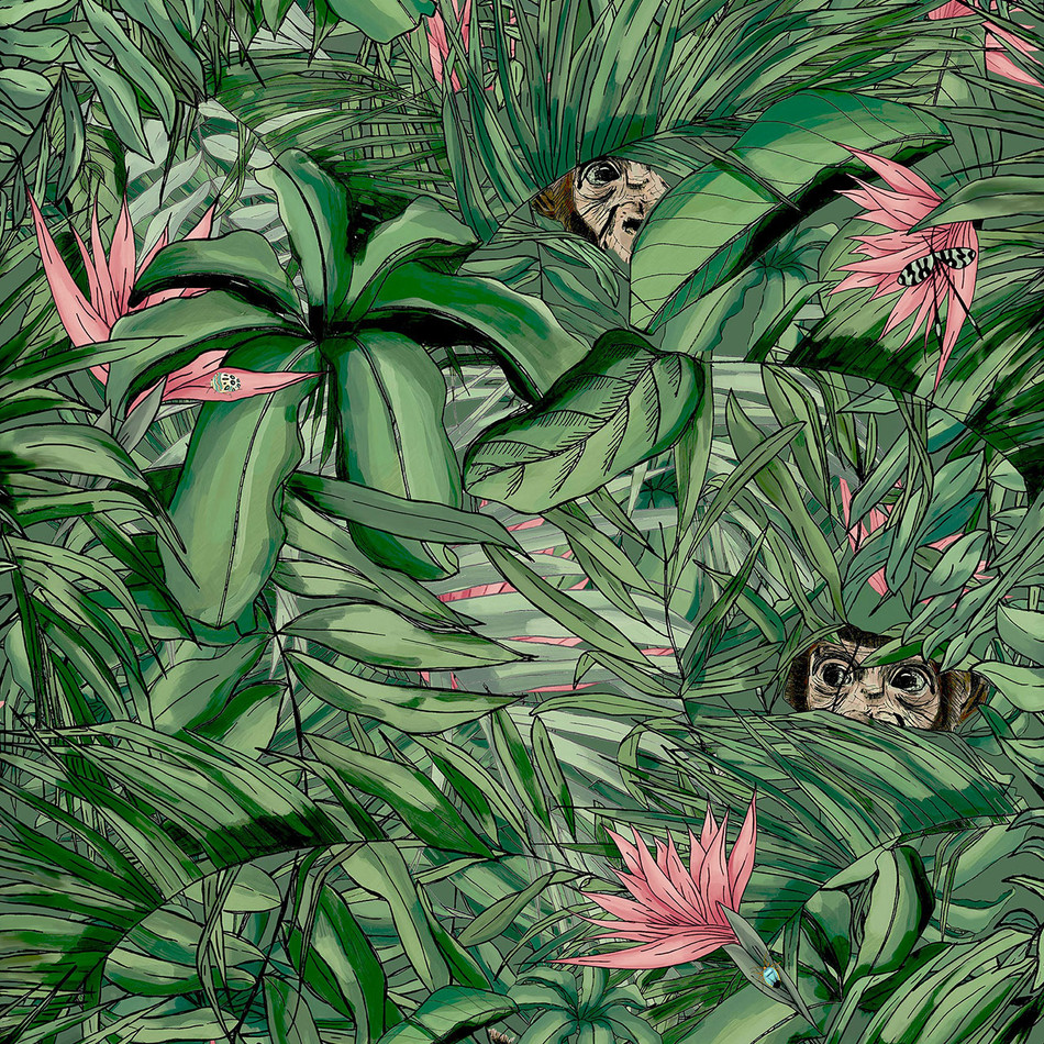 BMTD001/09A Monkey Forest Tropical Daze Wallpaper by Brand McKenzie