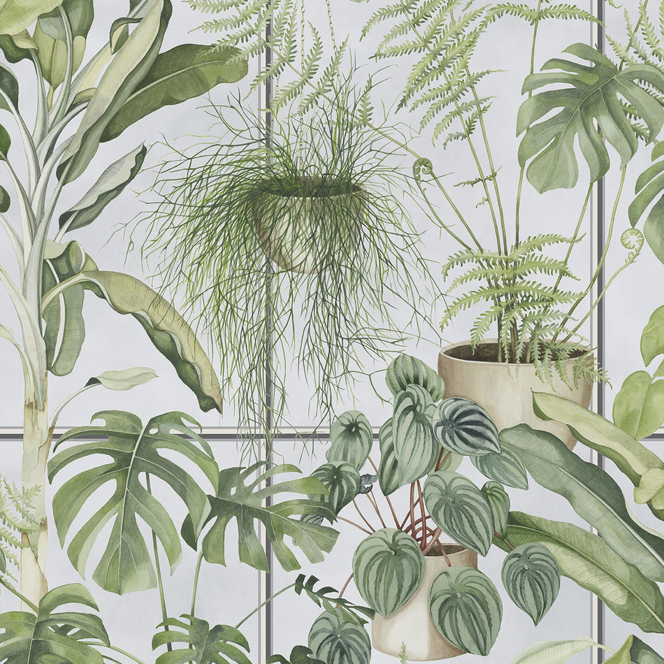 BMTD001/13A The Green House Tropical Daze Wallpaper by Brand McKenzie