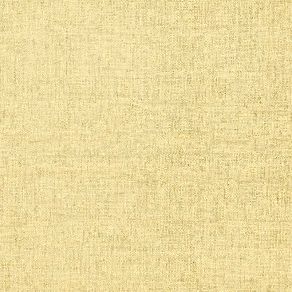 T6809 Bankun Raffia Texture Resource Vol 4 Wallpaper By Thibaut