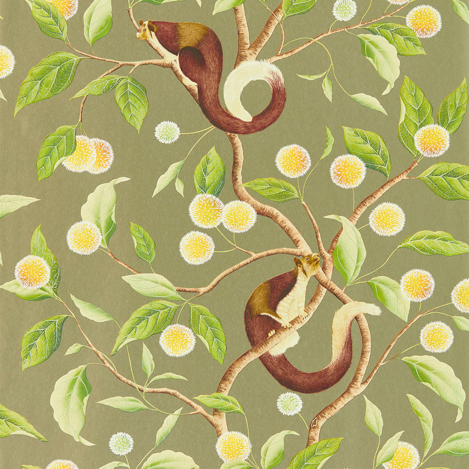 112904 ( HDHW112904 ) Nellie Harlequin x Diane Hill Wallpaper By Harlequin