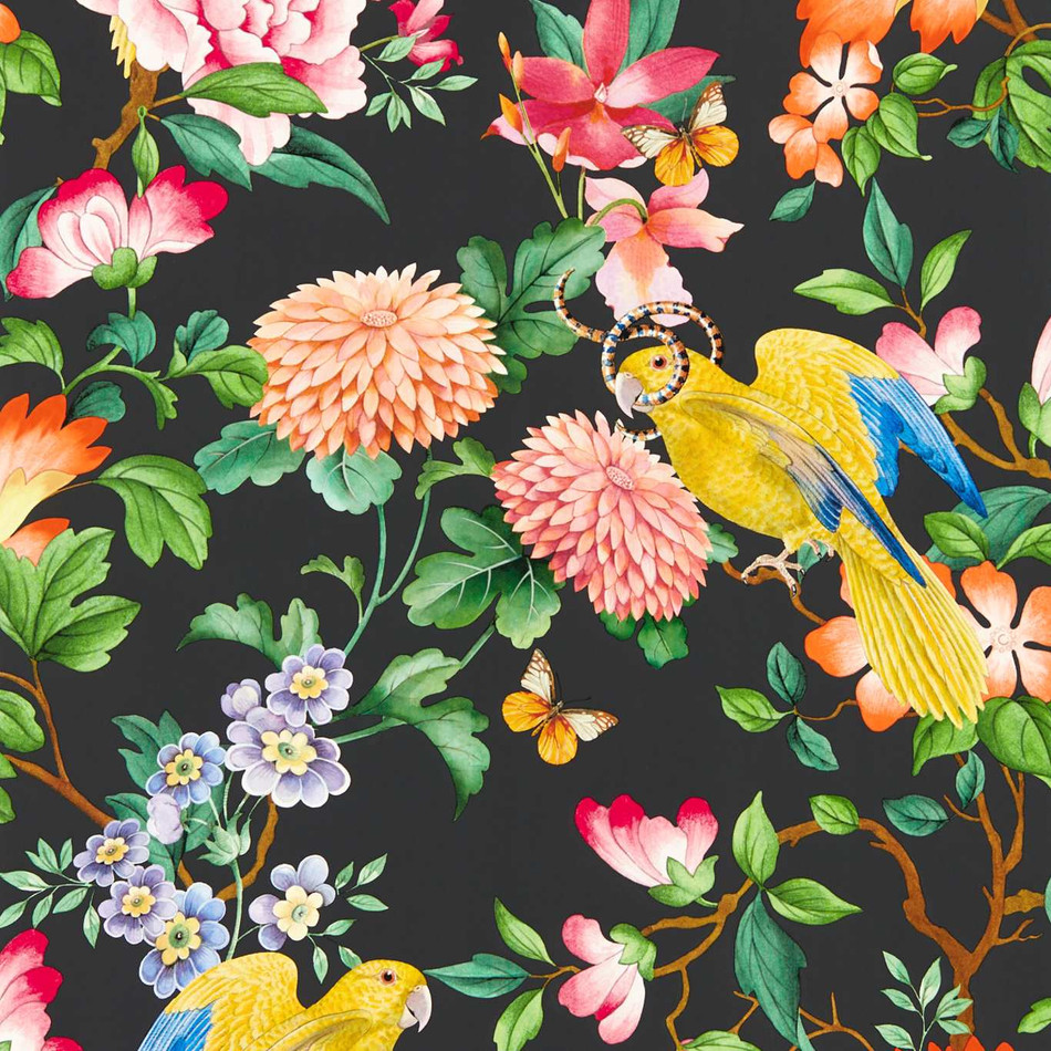 W0130/04 Noir Golden Parrot Botanical Wonders Wedgwood Wallpaper by Clarke & Clarke