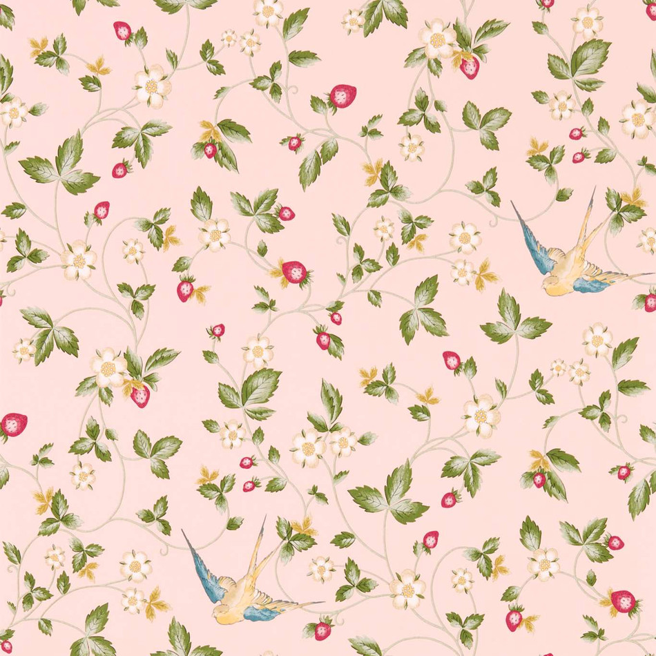 W0135/01 Blush Wild Strawberry Botanical Wonders Wedgwood Wallpaper by Clarke & Clarke