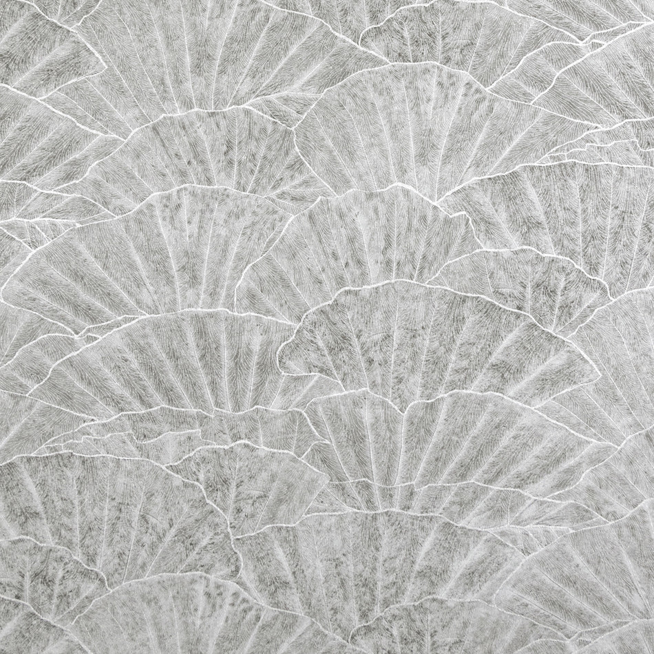 65002 Seashell Cloudy Grey Feel Wallpaper By Hohenberger