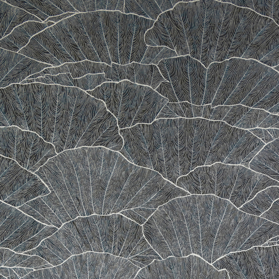65005 Seashell Blue Feel Wallpaper By Hohenberger