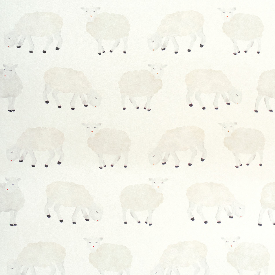 26826 White Sweet Sheep Great Kids Wallpaper By Hohenberger