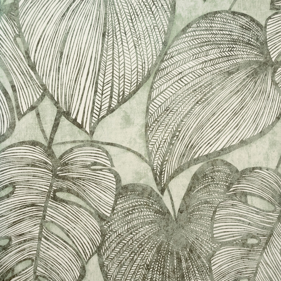 26935 Monstera Olive Sage Julie Feels Home Wallpaper By Hohenberger