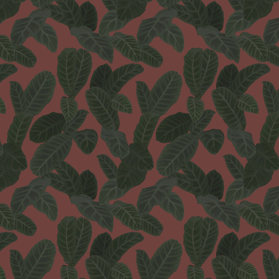 13125 Piner Eden Wallpaper By Ted Baker Galerie