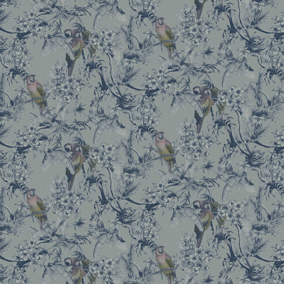 13086 Macaw Eden Wallpaper By Ted Baker Galerie
