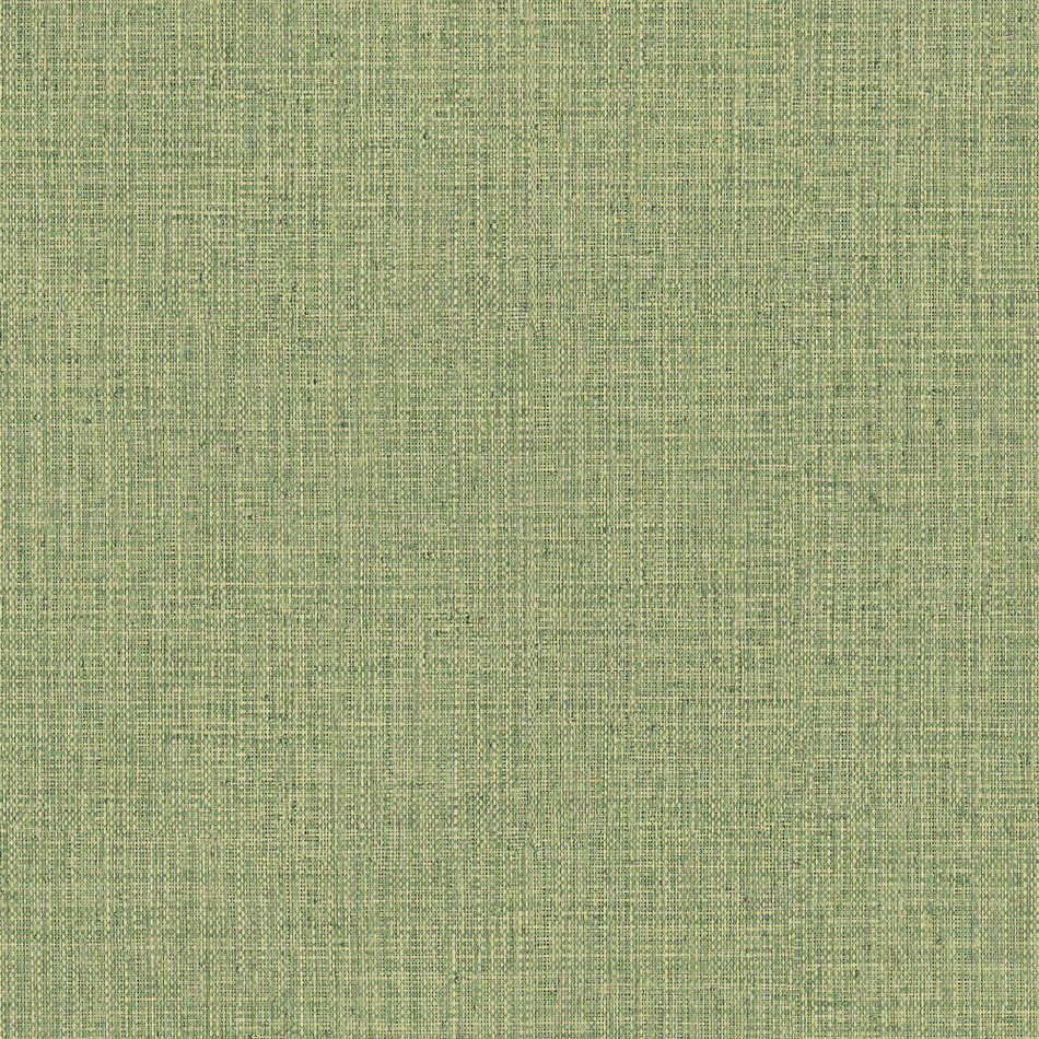49517 Nongo Gitane Olive Wallpaper By Arte