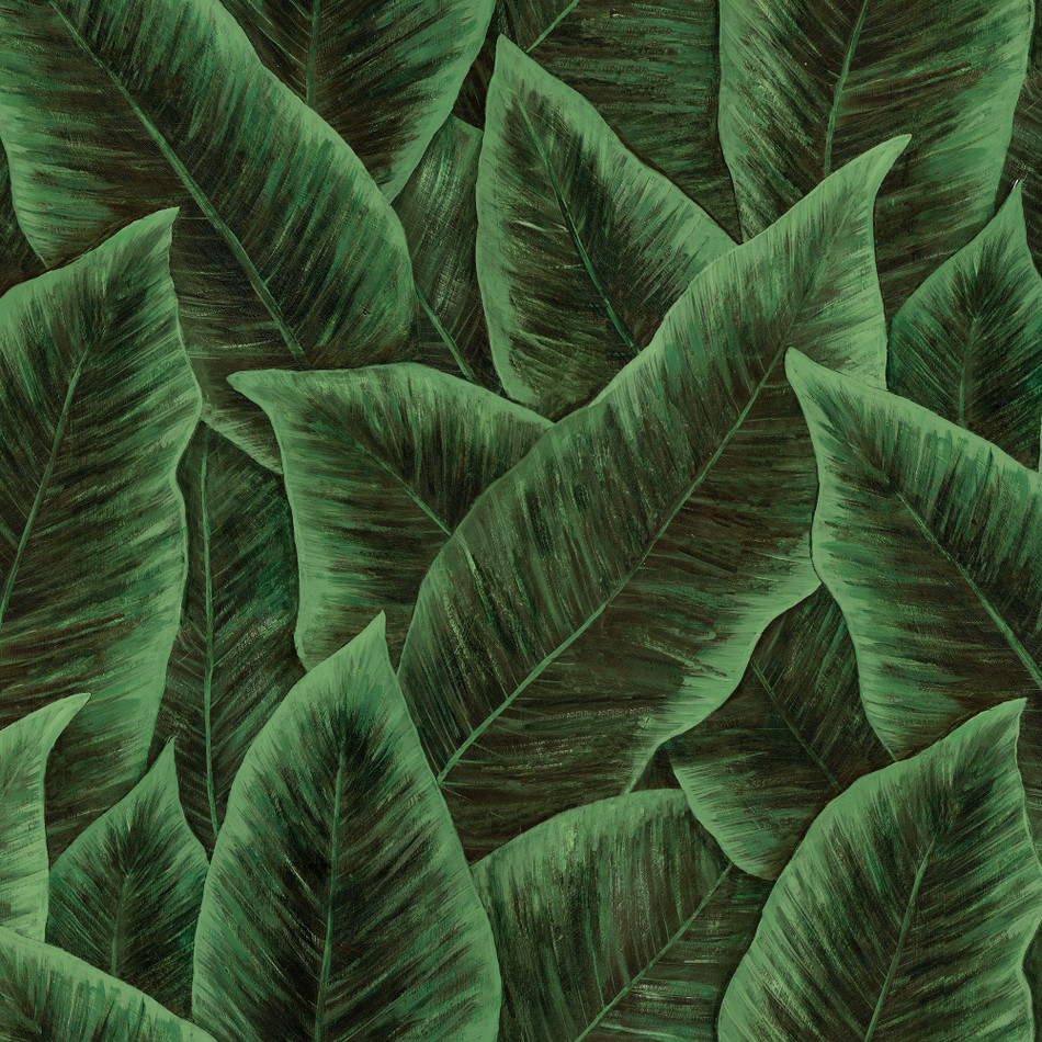 97572 Emerald Bird of Paradise Décors & Panoramiques Wallpaper By Arte