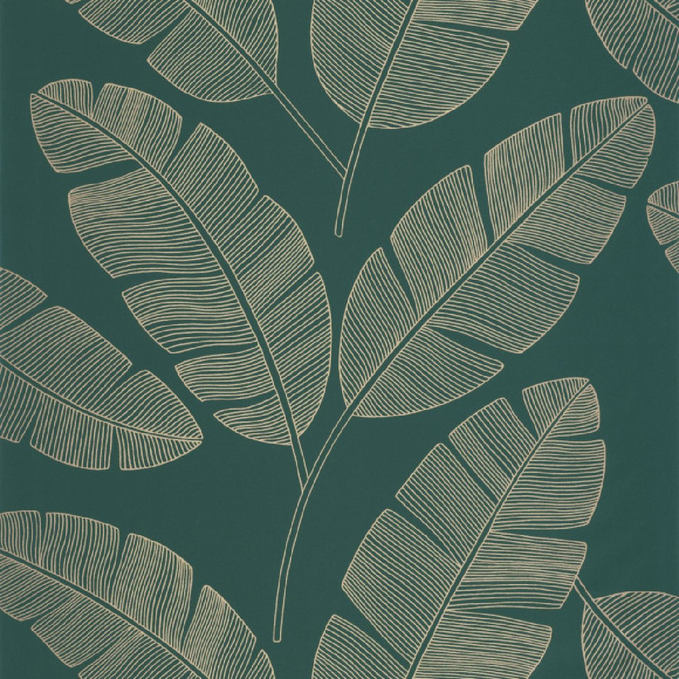 101107251 Moonlight Banana Tree Green & Co Vert Sapin Wallpaper By Caselio