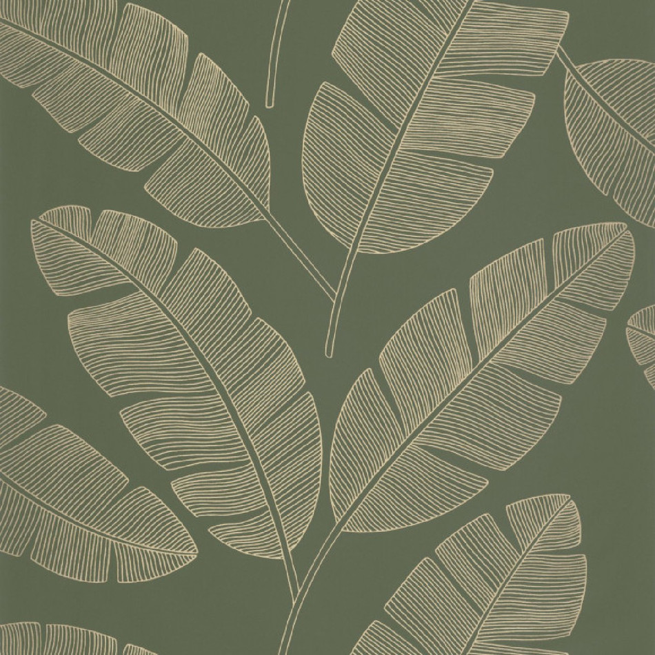 101107142 Moonlight Banana Tree Green & Co Vert Kaki Wallpaper By Caselio
