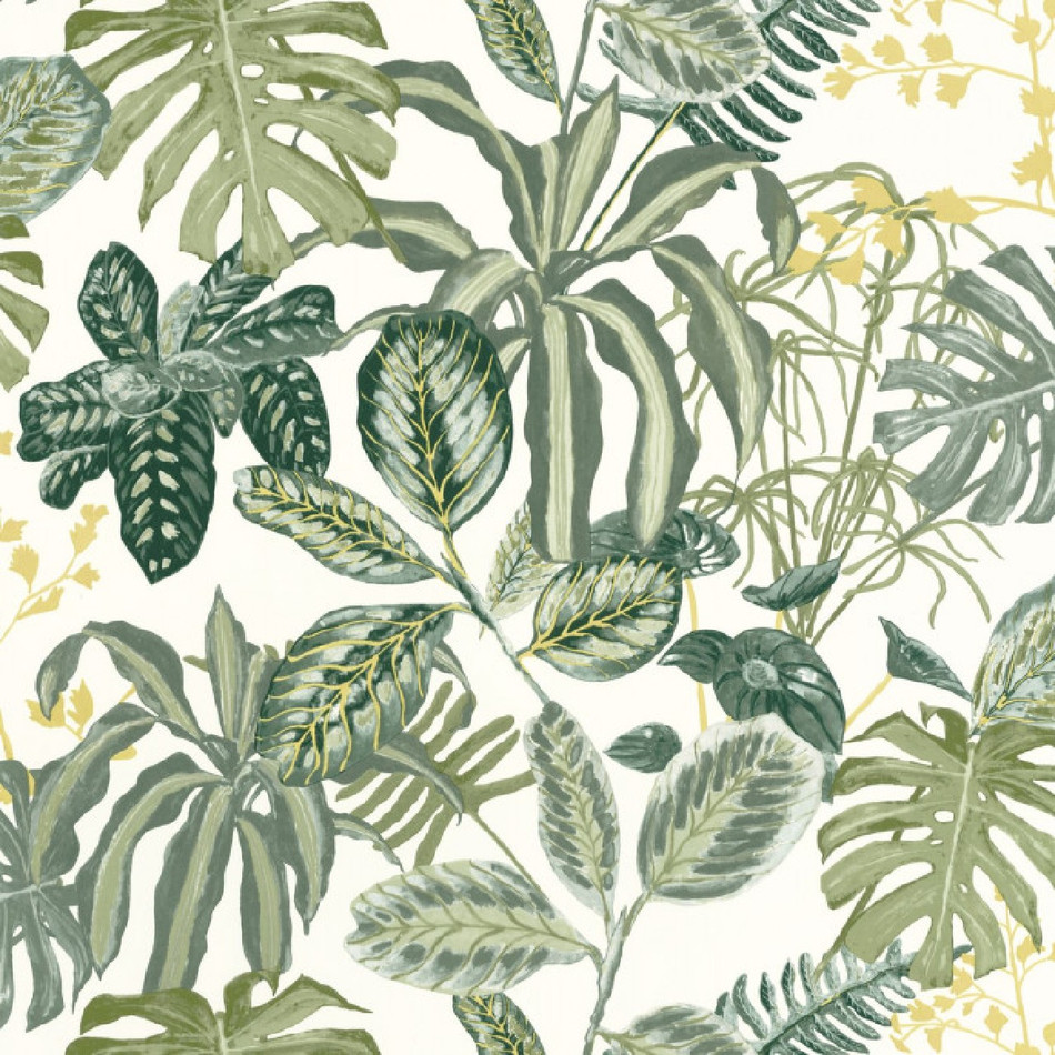 103897067 Manaus Green & Co Vert Mousse Wallpaper By Caselio