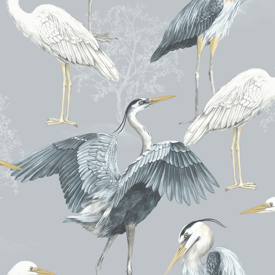 Download Juvenile Great Egret Wallpaper  Wallpaperscom