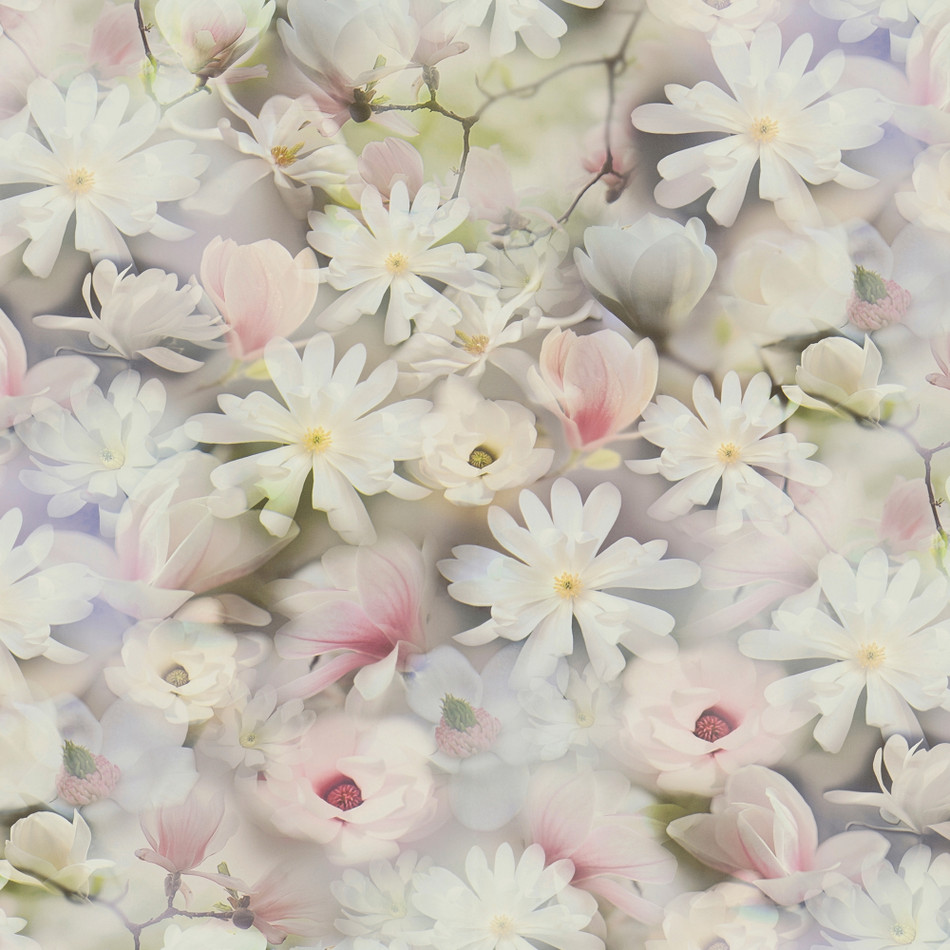 BW51033 Romantic Daisy Motif Blooming Wild Blue, Green, Lilac and White Wallpaper By Galerie