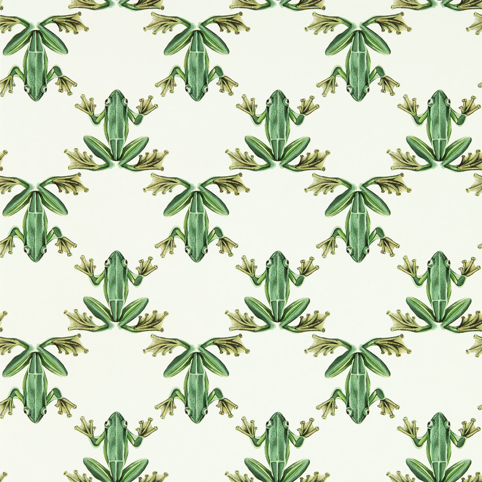 113011 Wood Frog Colour 4 Forest and Chalk Wallpaper by Harlequin