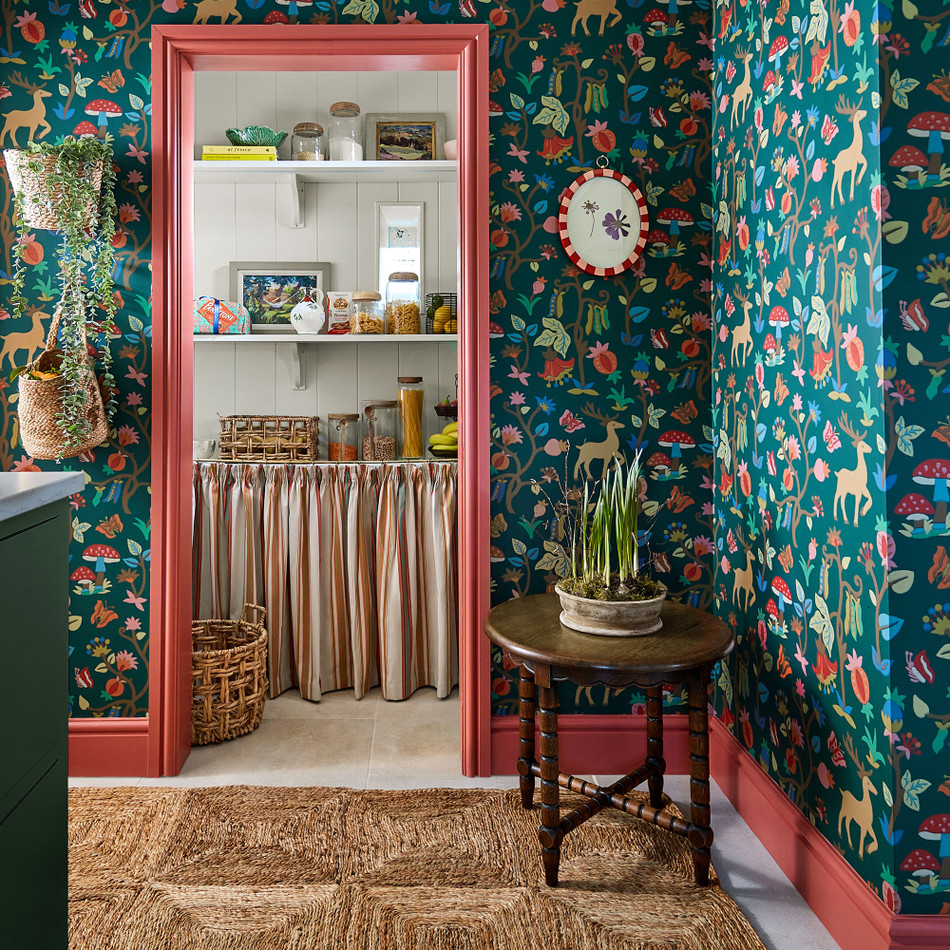 Sanderson Arboretum Forest of Dean