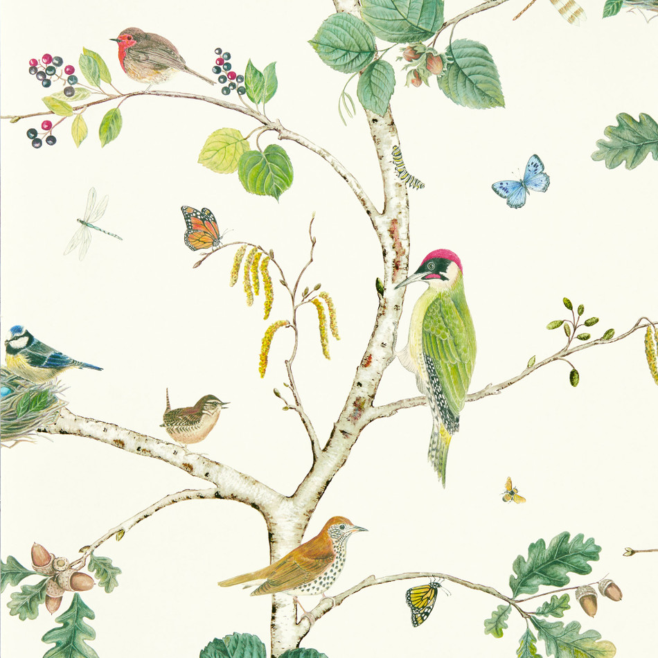 217230 Woodland Chorus Arboretum Botanical and Multi Wallpaper by Sanderson