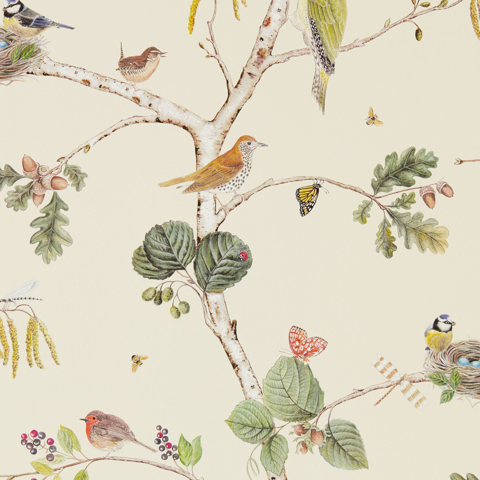 215703 Woodland Chorus Arboretum Cream and Multi Wallpaper by Sanderson