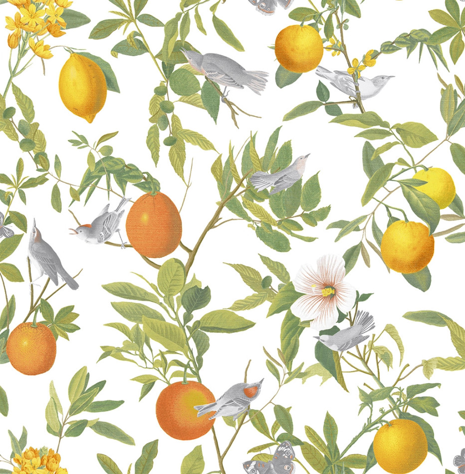 105641 Amalfi Fresco Curiosity Wallpaper by Graham and Brown