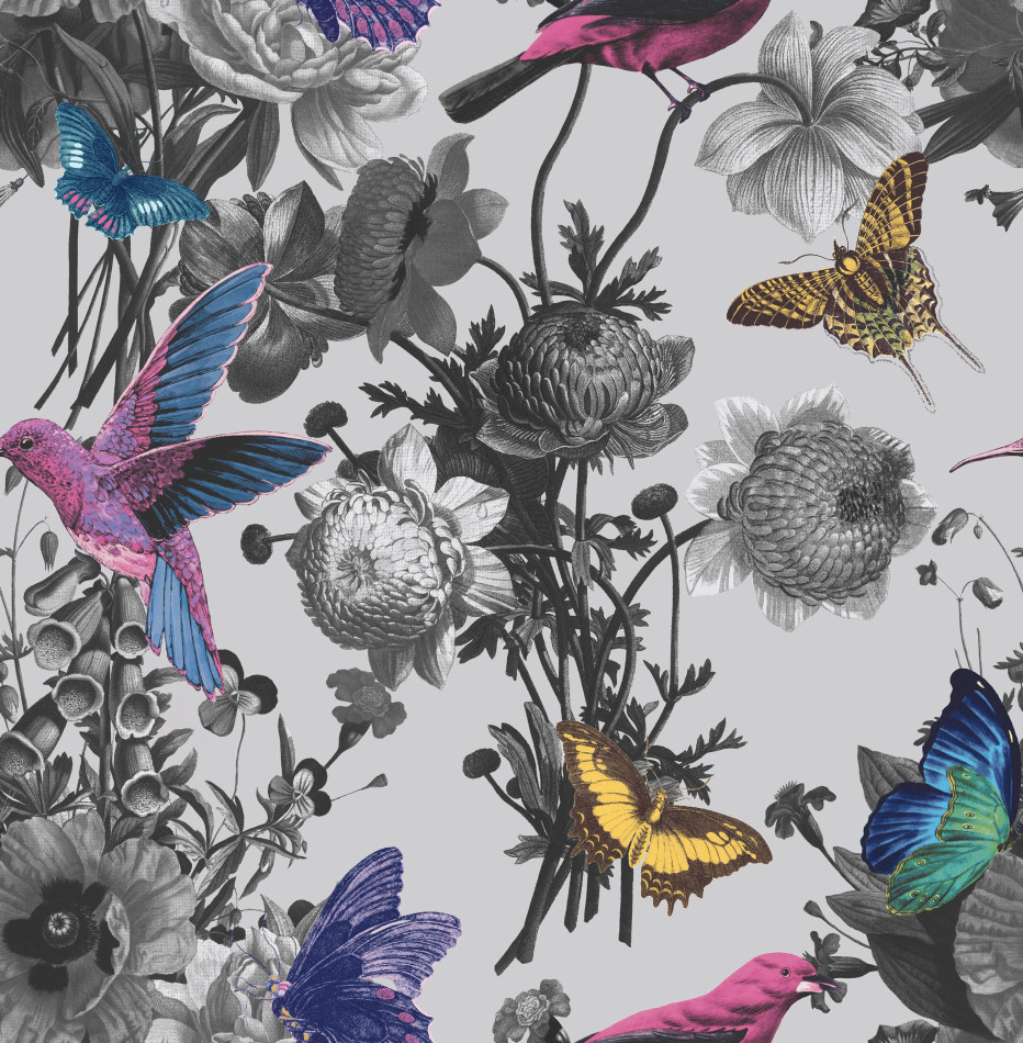 106430 Jardin Grey Curiosity Wallpaper by Graham and Brown