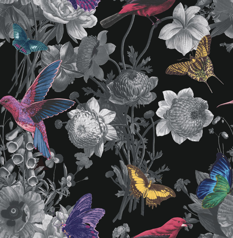 106431 Jardin Black Curiosity Wallpaper by Graham and Brown