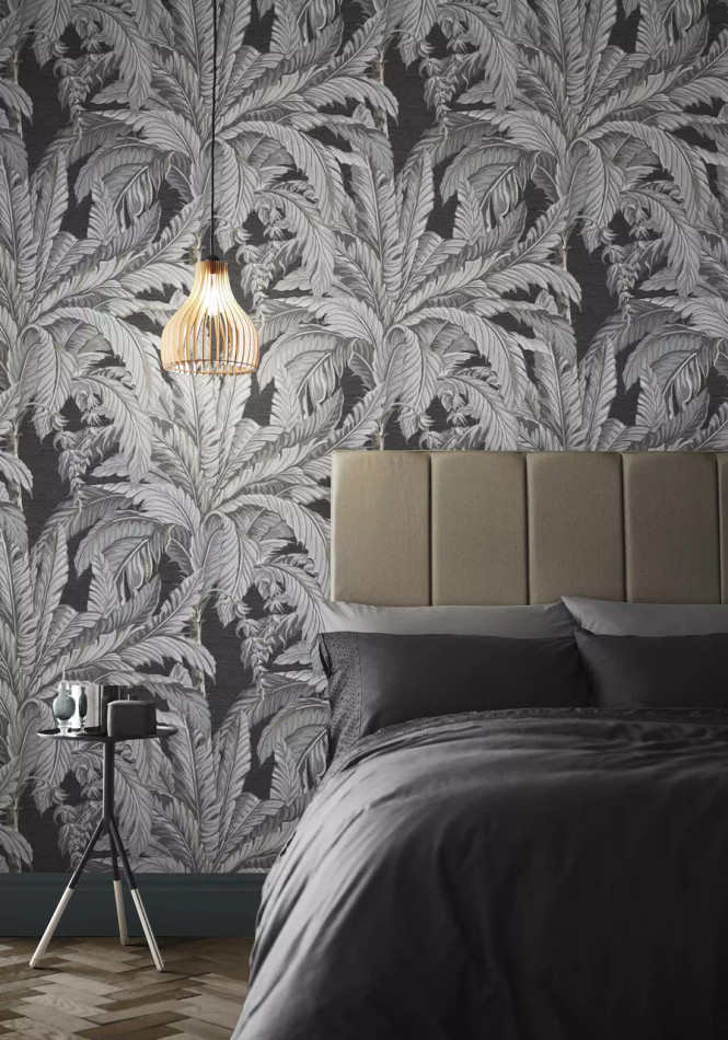 112019 Daintree Explorer Wallpaper by Graham and Brown