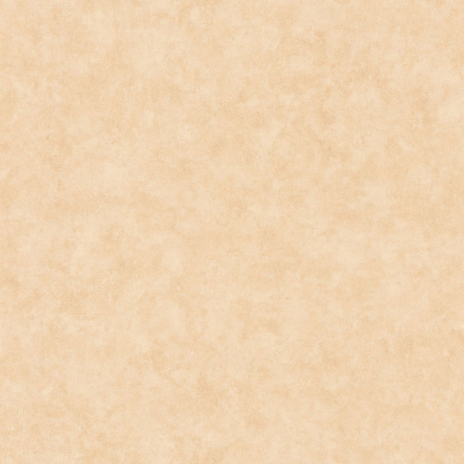 BTO101481674 Beton Uni Beton 2 Wallpaper By Caselio