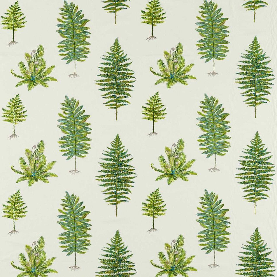 237319 Fernery Embroidery Arboretum Botanical Green Fabric by Sanderson