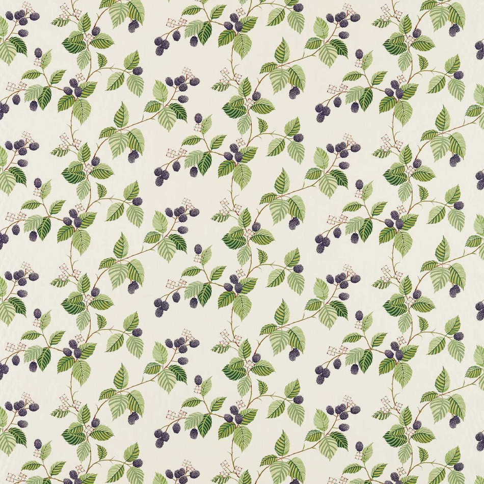 227064 Rubus Arboretum Blackberry Fabric by Sanderson