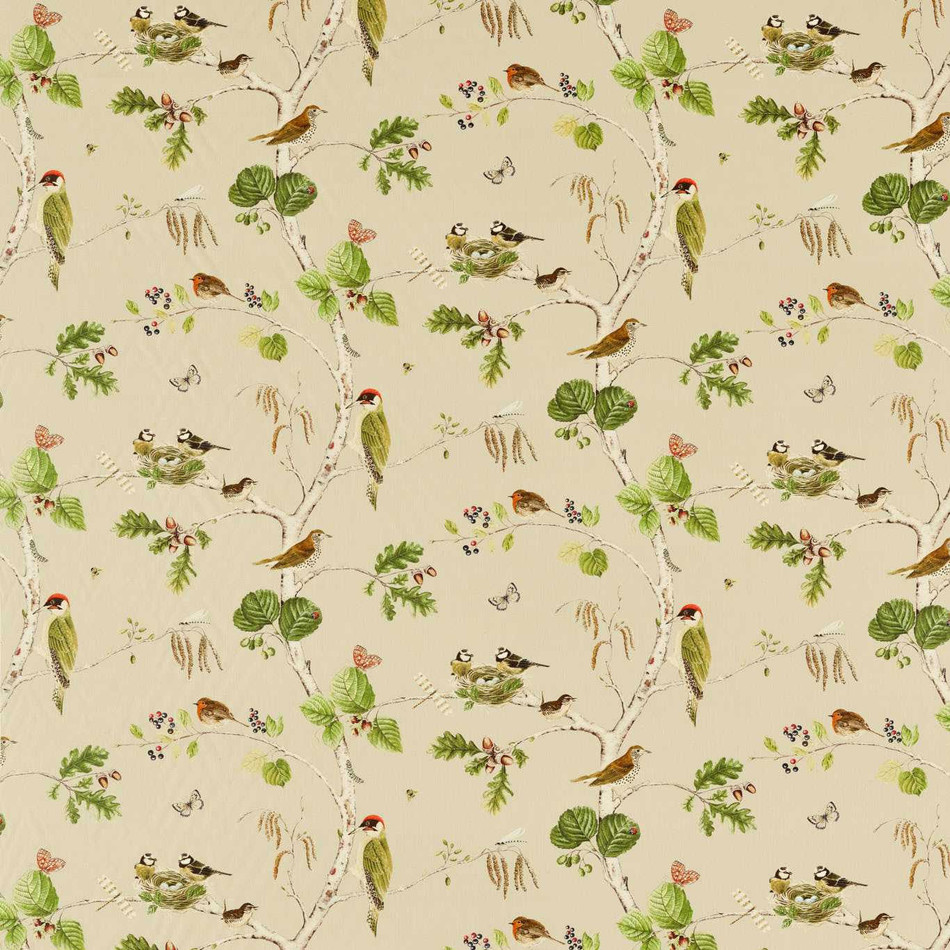 227060 Woodland Chorus Arboretum Birch Multi Fabric by Sanderson