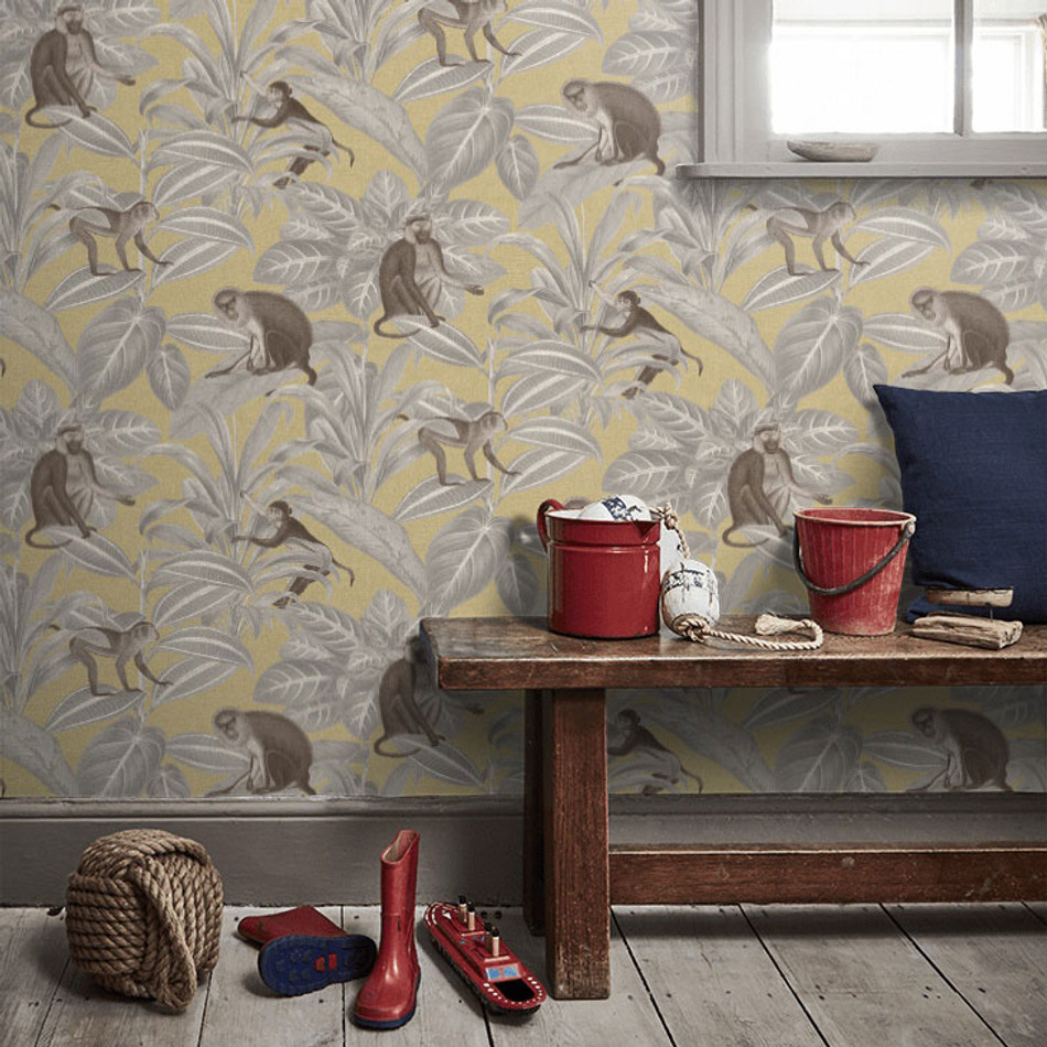 DYW0008 Indian Monkey Discovery Emperor Yellow Wallpaper By Sketch Twenty 3 DYW0008 Indian Monkey Discovery Emperor Yellow Wallpaper By Sketch Twenty 3