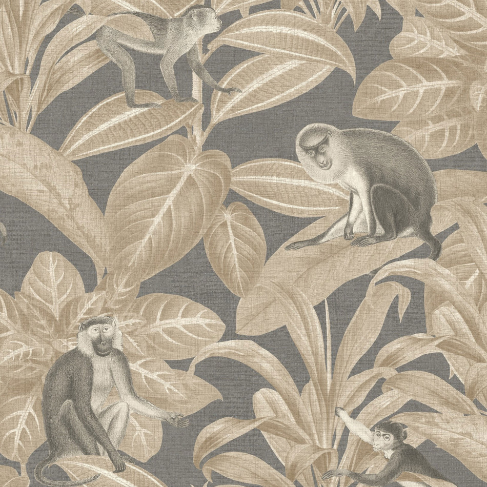 DYW0010 Indian Monkey Discovery Truffle Wallpaper By Sketch Twenty 3