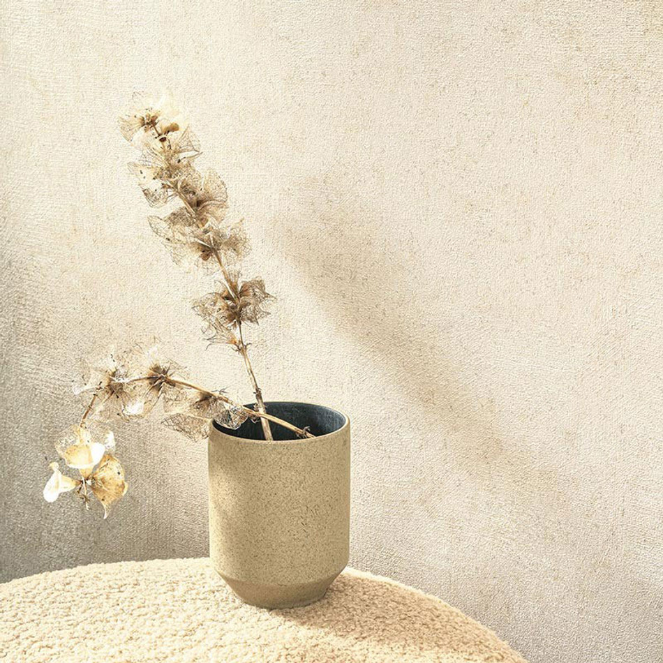 COLR88091138 Mur A La Chaux So Color 5 Wallpaper by Casadeco