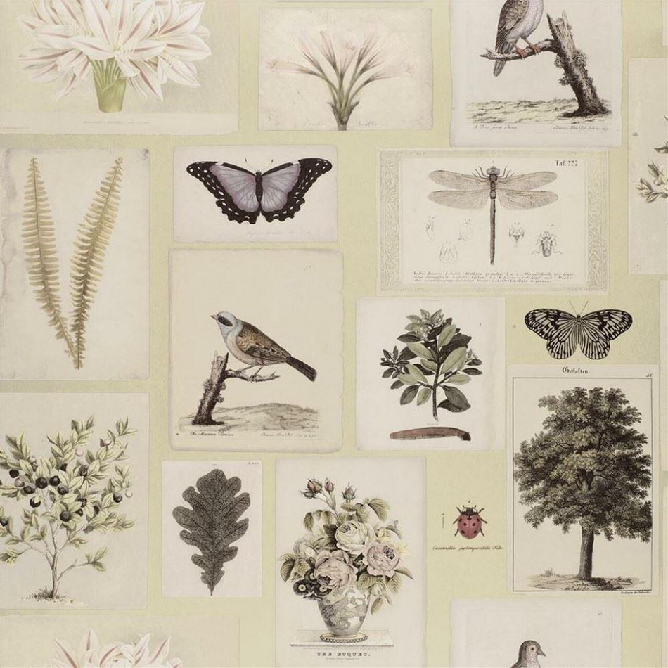 PJD6001/03 Flora And Fauna Picture Book Papers Canvas Wallpaper by John Derian