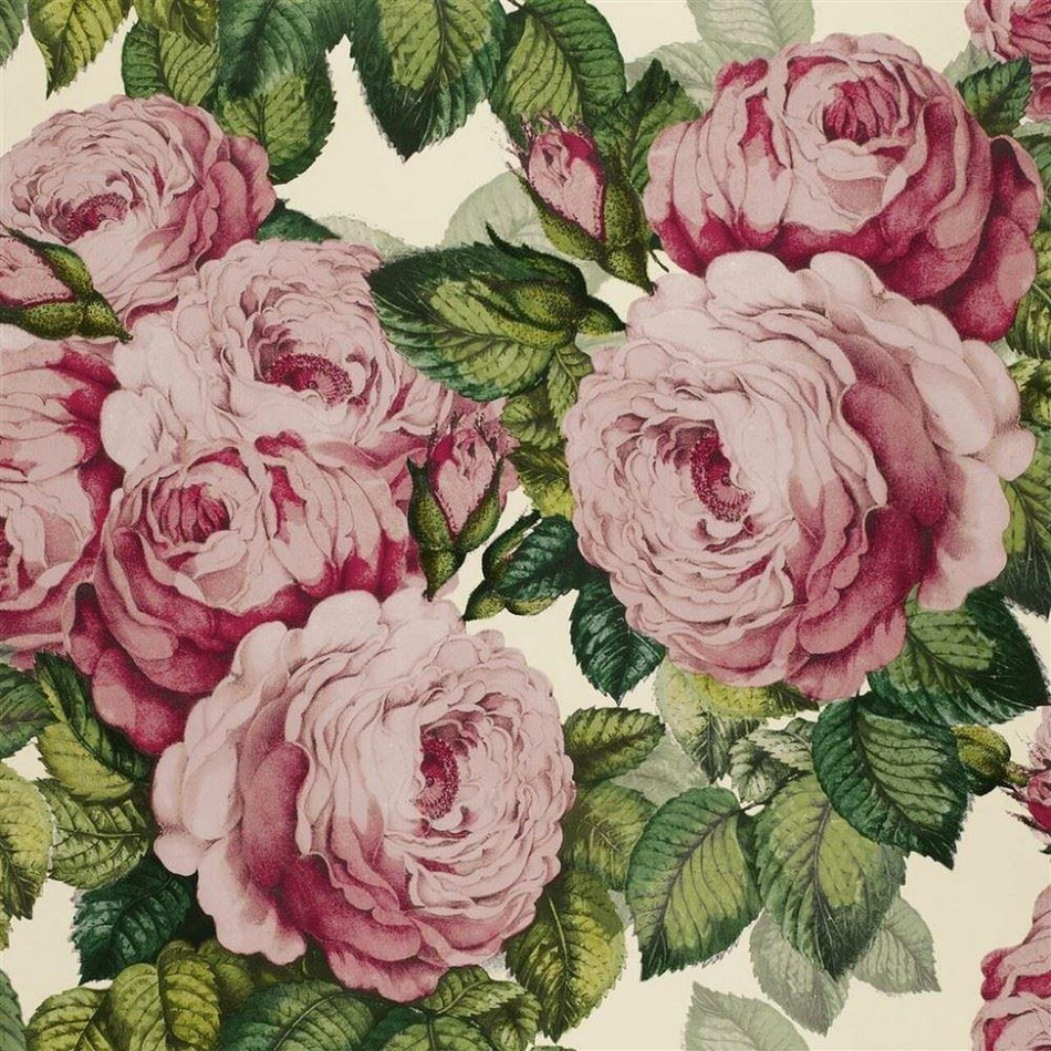 PJD6002/02 The Rose Picture Book Papers Tuberose Wallpaper by John Derian