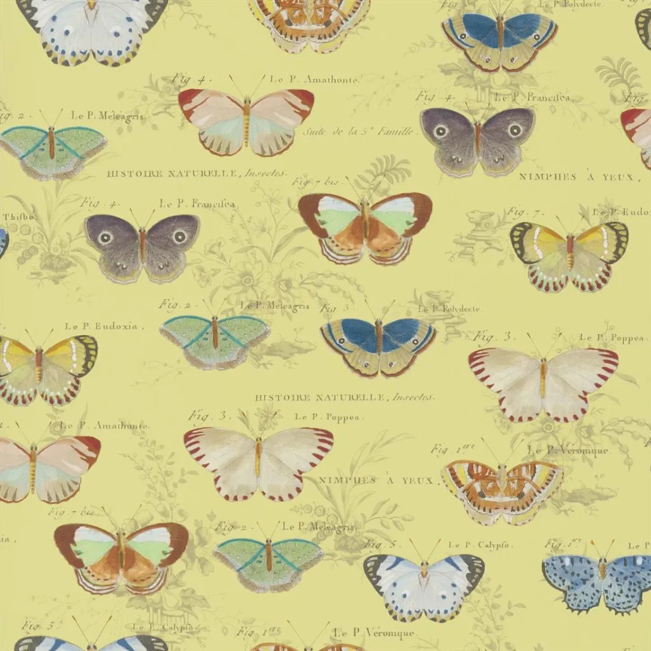 PJD6017/04 Butterfly Studies Picture Book Papers II Wallpaper by John Derian