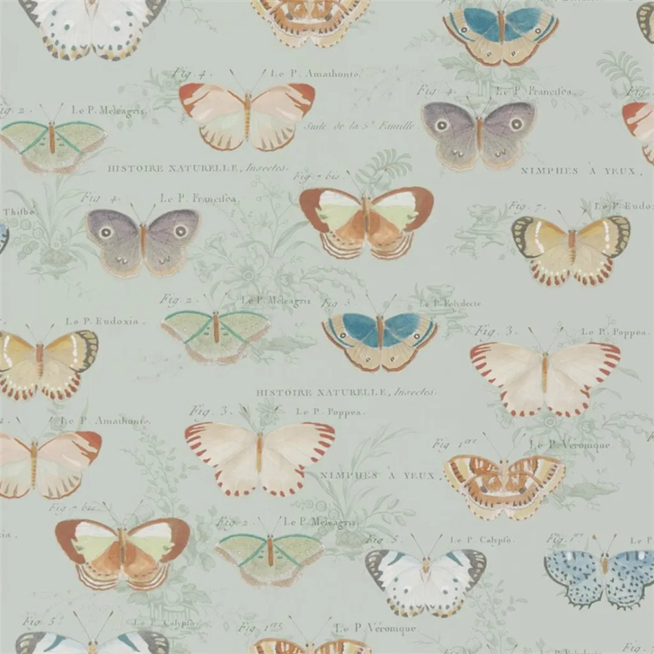 PJD6017/03 Butterfly Studies Picture Book Papers II Wallpaper by John Derian