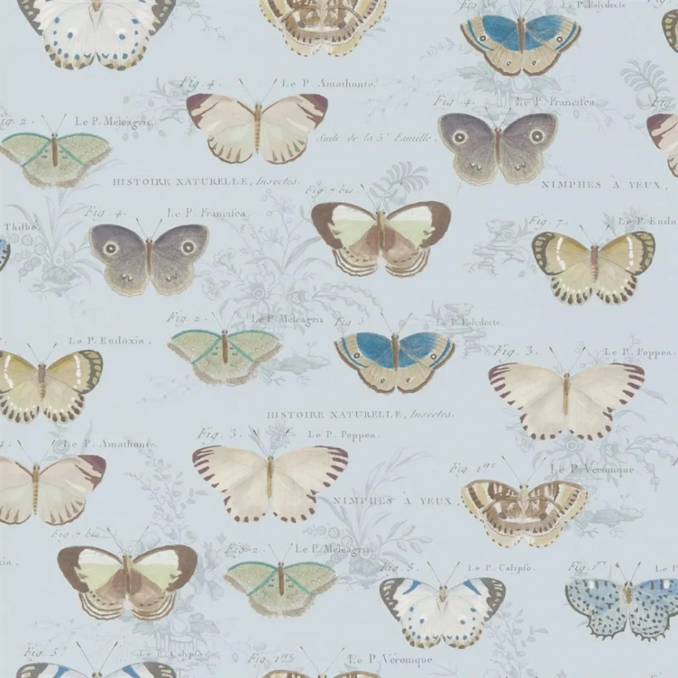 PJD6017/02 Butterfly Studies Picture Book Papers II Wallpaper by John Derian