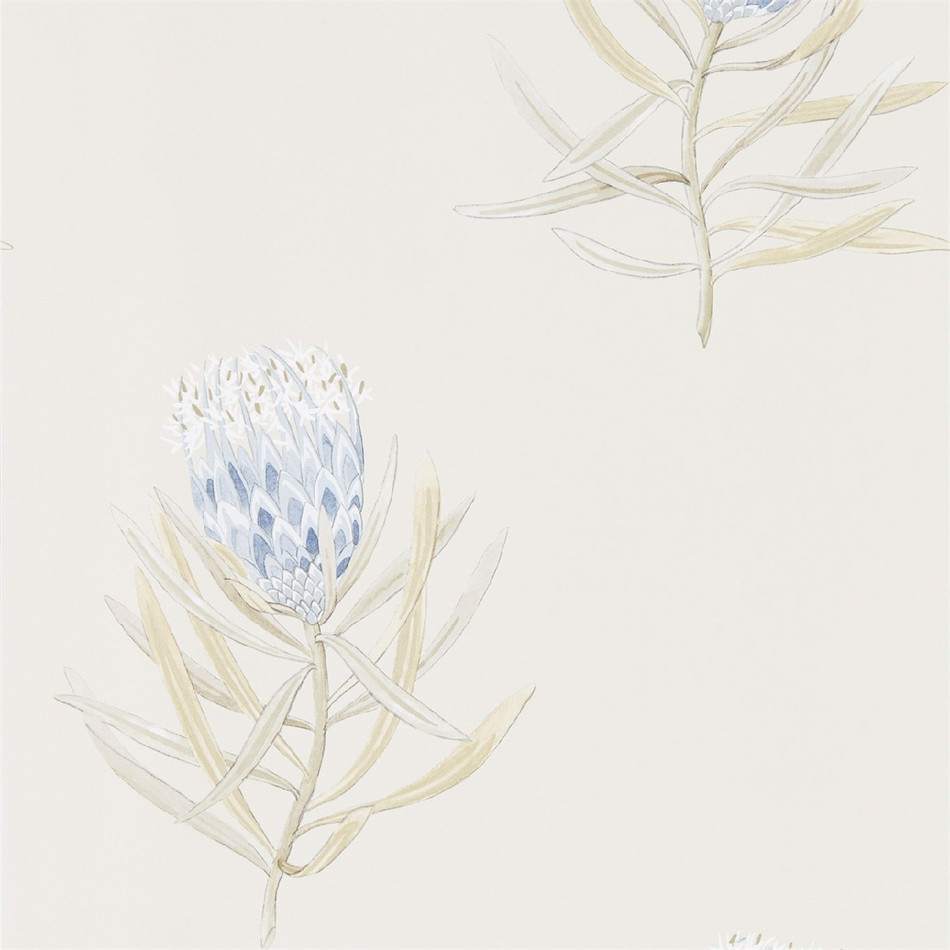 216327 Protea Flower Art Of The Garden Wallpaper By Sanderson