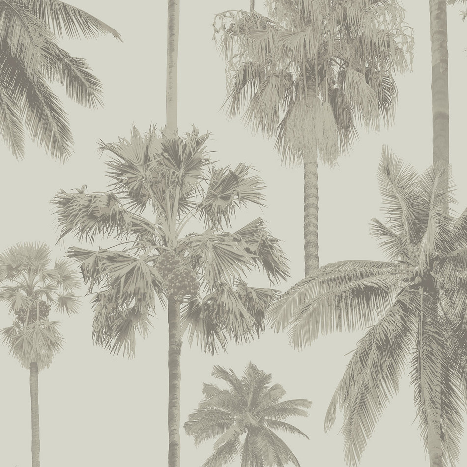 ML01415 California Palm Malibu Gold Wallpaper By Sketch Twenty 3