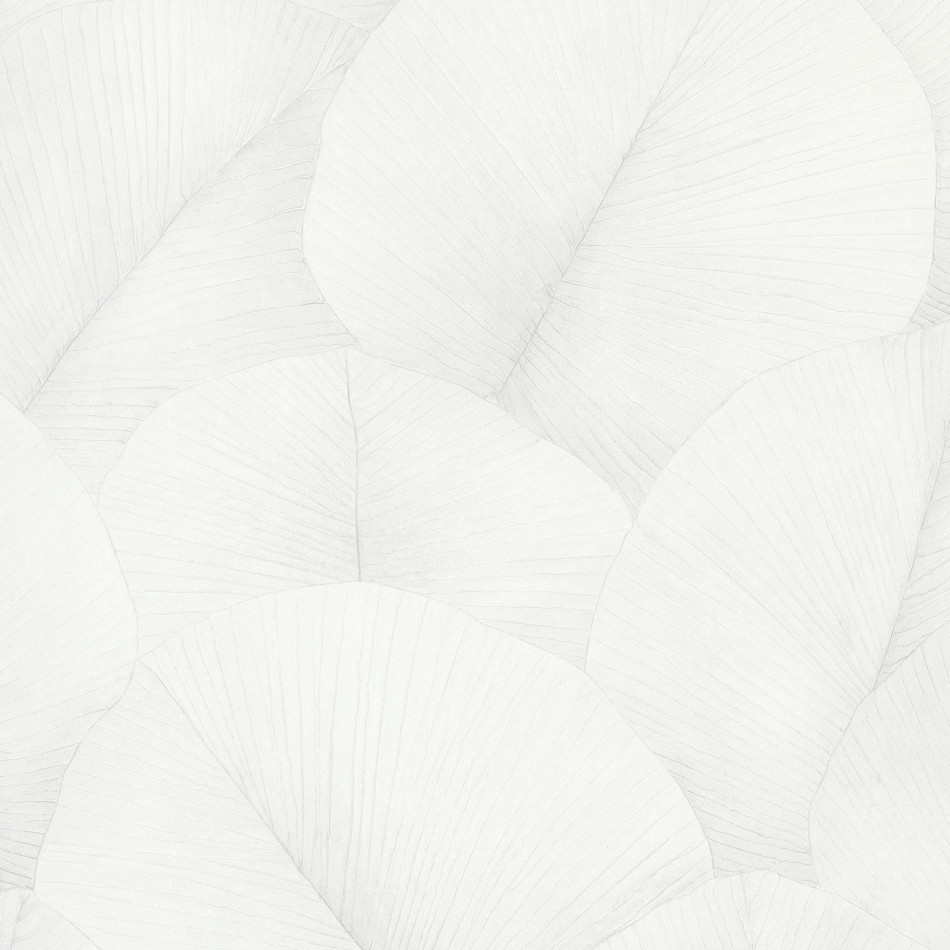 34507 Palm Leaf Kumano Wallpaper By Galerie