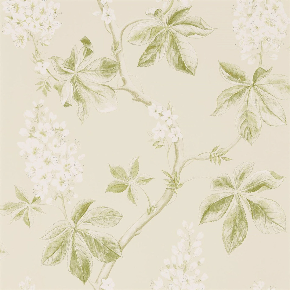 Sanderson Archive Golden Lily Wallpaper | Anthropologie UK