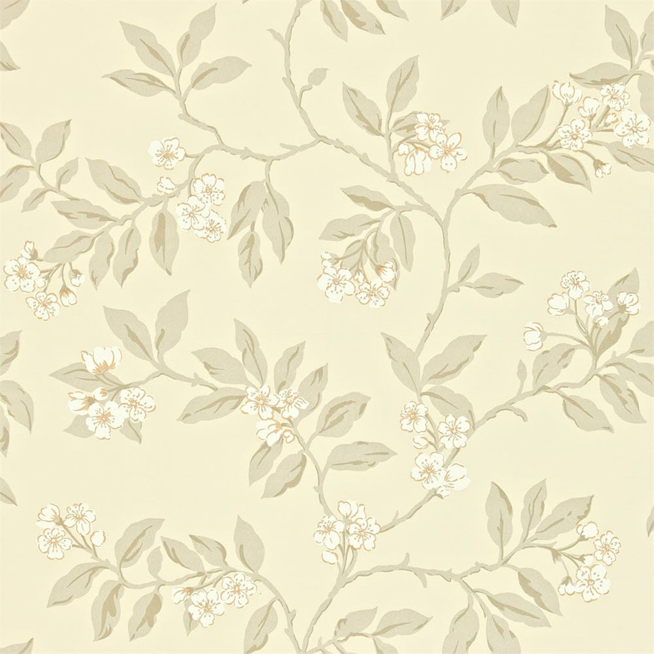 211994 Blossom Bough Maycott Wallpaper by Sanderson Home