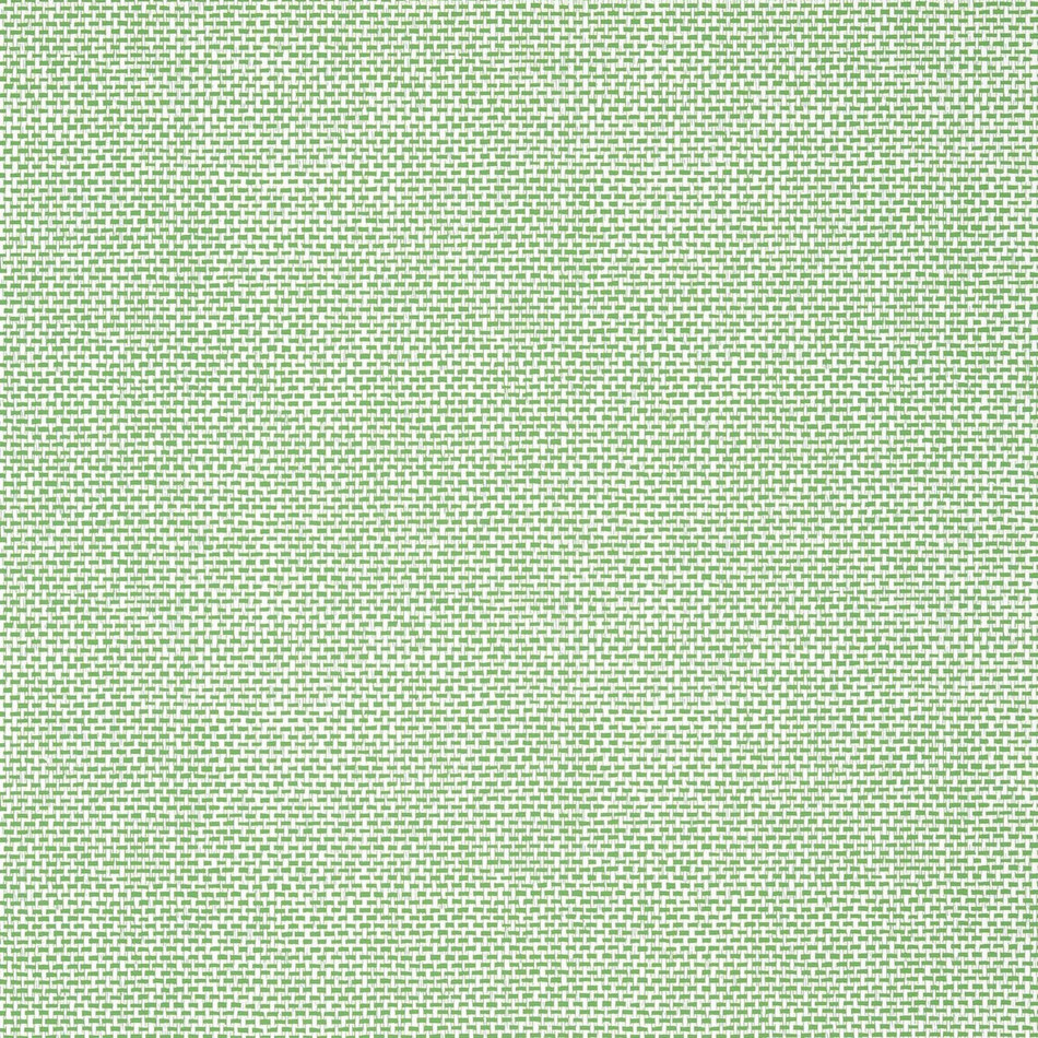 T16261 Palawan Kismet Green Wallpaper by Thibaut