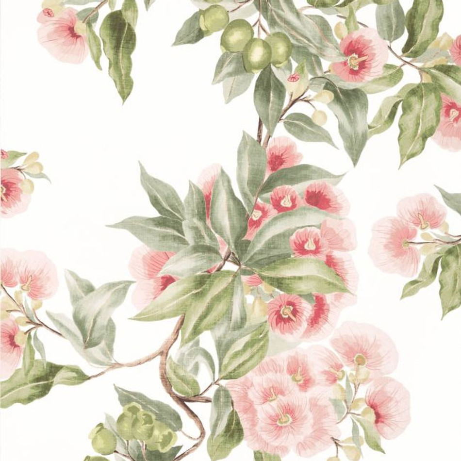 AT24550 Camellia Garden Devon Coral Wallpaper by Anna French